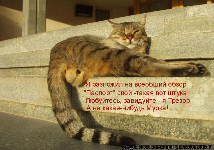 Я разложил на всеобщий обзор "Паспорт" свой -такая вот штука! Любуйтесь, завидуйте - я Трезор, А не к... Котоматрица: Я разложил на всеобщий обзор "Паспорт" свой -такая вот штука! Любуйтесь, завидуйте - я Трезор, А не какая-нибудь Мурка!