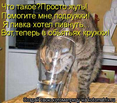 Что такое?Просто жуть! Помогите мне,подружки! Я пивка хотел пивнуть... Вот,теперь в обьятьях кружки!... Котоматрица: Что такое?Просто жуть! Помогите мне,подружки! Я пивка хотел пивнуть... Вот,теперь в обьятьях кружки!