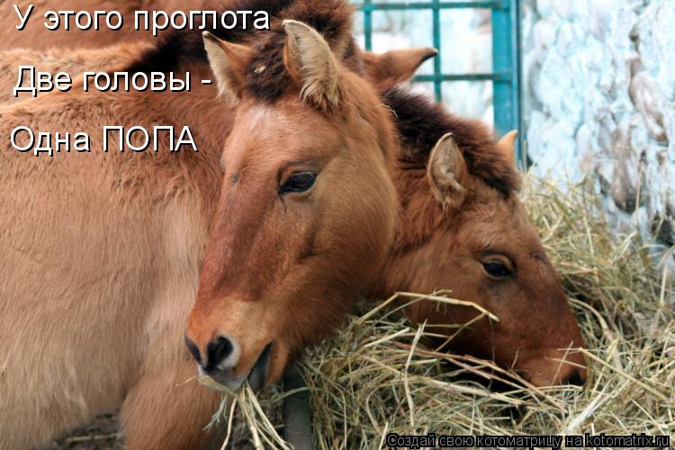 У этого проглота Две головы - Одна ПОПА... Котоматрица: У этого проглота Две головы - Одна ПОПА