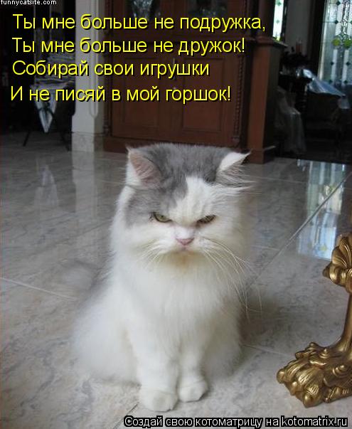 Ты мне больше не подружка, Ты мне больше не дружок! Собирай свои игрушки И не писяй в мой горшок!... Котоматрица: Ты мне больше не подружка, Ты мне больше не дружок! Собирай свои игрушки И не писяй в мой горшок!