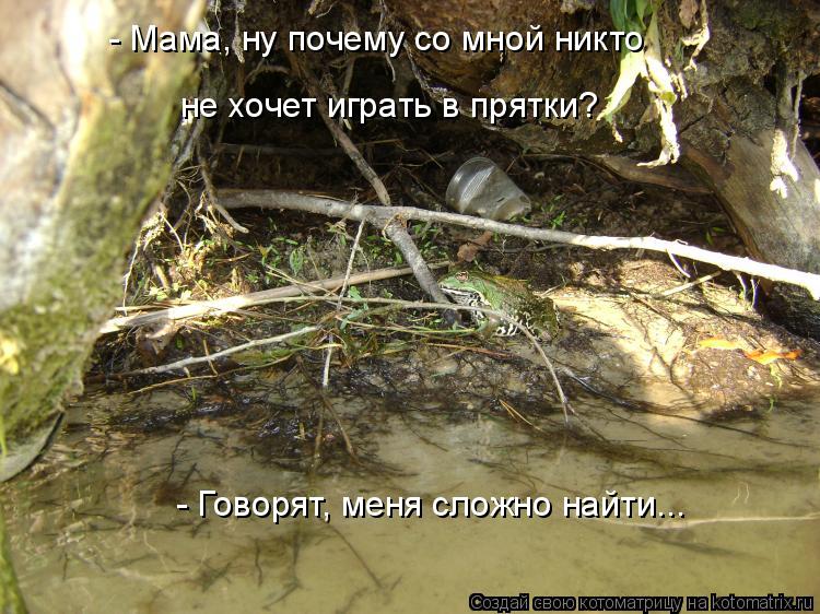 - Говорят, меня сложно найти... - Мама, ну почему со мной никто не хочет играть в прятки?... Котоматрица: - Говорят, меня сложно найти... - Мама, ну почему со мной никто не хочет играть в прятки?