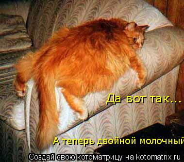 Да вот так... А теперь двойной молочный... Котоматрица: Да вот так... А теперь двойной молочный