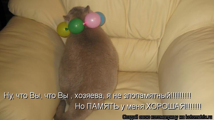 Ну, что Вы, что Вы , хозяева, я не злопамятный!!!!!!!!! Но ПАМЯТЬ у меня ХОРОШАЯ!!!!!!!... Котоматрица: Ну, что Вы, что Вы , хозяева, я не злопамятный!!!!!!!!! Но ПАМЯТЬ у меня ХОРОШАЯ!!!!!!!