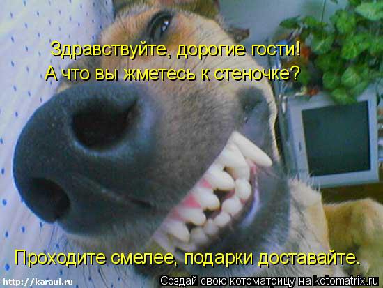Здравствуйте, дорогие гости! А что вы жметесь к стеночке? Проходите смелее, подарки доставайте.... Котоматрица: Здравствуйте, дорогие гости! А что вы жметесь к стеночке? Проходите смелее, подарки доставайте.