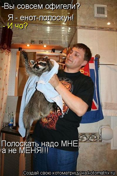 Я - енот-полоскун! - И чо? Полоскать надо МНЕ, -Вы совсем офигели? а не МЕНЯ!!!... Котоматрица: Я - енот-полоскун! - И чо? Полоскать надо МНЕ, -Вы совсем офигели? а не МЕНЯ!!!