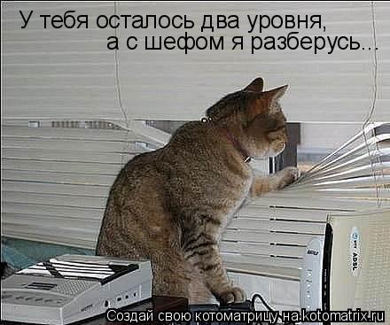 У тебя осталось два уровня, а с шефом я разберусь...... Котоматрица: У тебя осталось два уровня, а с шефом я разберусь...