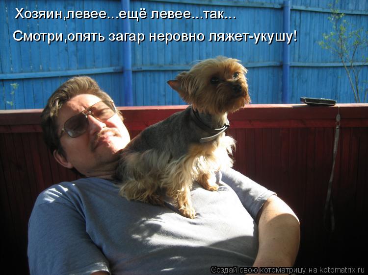 Хозяин,левее...ещё левее...так... Смотри,опять загар неровно ляжет-укушу!... Котоматрица: Хозяин,левее...ещё левее...так... Смотри,опять загар неровно ляжет-укушу!