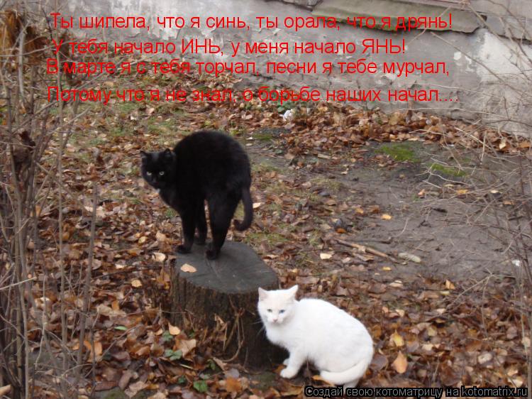 Ты шипела, что я синь, ты орала, что я дрянь! У тебя начало ИНЬ, у меня начало ЯНЬ! В марте я с тебя... Котоматрица: Ты шипела, что я синь, ты орала, что я дрянь! У тебя начало ИНЬ, у меня начало ЯНЬ! В марте я с тебя торчал, песни я тебе мурчал, Потому что я не з