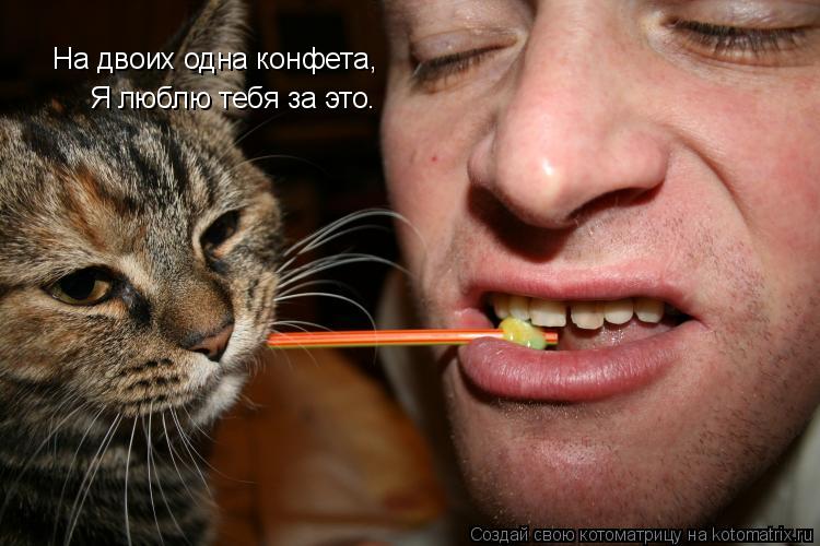 На двоих одна конфета, Я люблю тебя за это.... Котоматрица: На двоих одна конфета, Я люблю тебя за это.