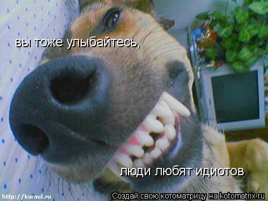 вы тоже улыбайтесь, люди любят идиотов... Котоматрица: вы тоже улыбайтесь, люди любят идиотов