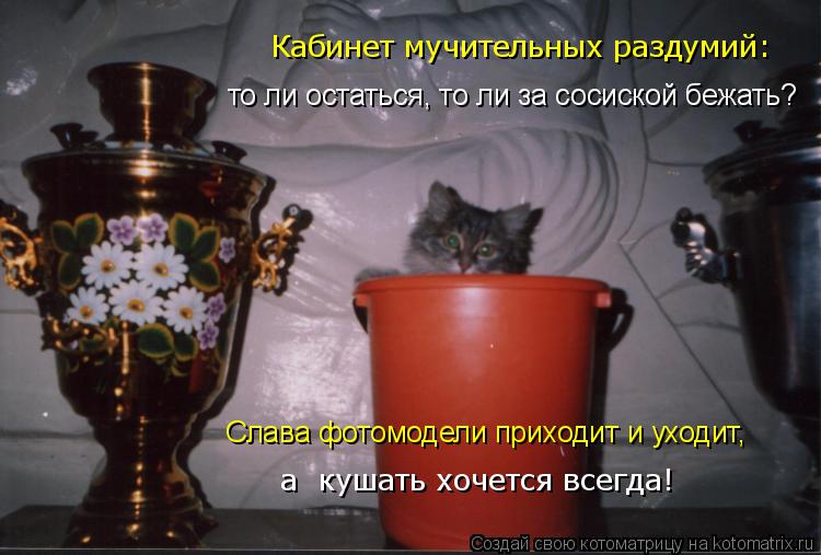 Кабинет мучительных раздумий: то ли остаться, то ли за сосиской бежать? Слава фотомодели приходит и у... Котоматрица: Кабинет мучительных раздумий: то ли остаться, то ли за сосиской бежать? Слава фотомодели приходит и уходит, а кушать хочется всегда!