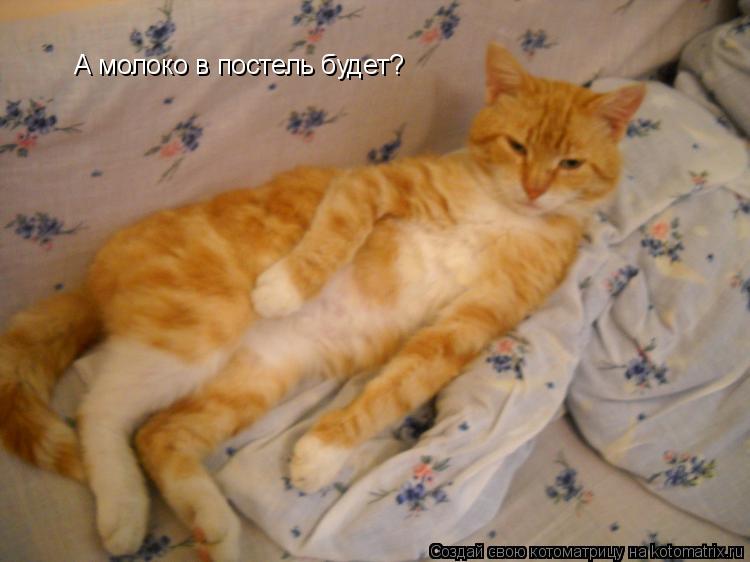 А молоко в постель будет?... Котоматрица: А молоко в постель будет?