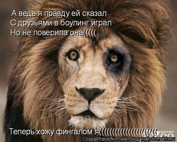 А ведь я правду ей сказал С друзьями в боулинг играл Но не поверила она((((( Теперь хожу фингалом я((... Котоматрица: А ведь я правду ей сказал С друзьями в боулинг играл Но не поверила она((((( Теперь хожу фингалом я(((((((((((((((((((((( Теперь хожу фингалом я((((((