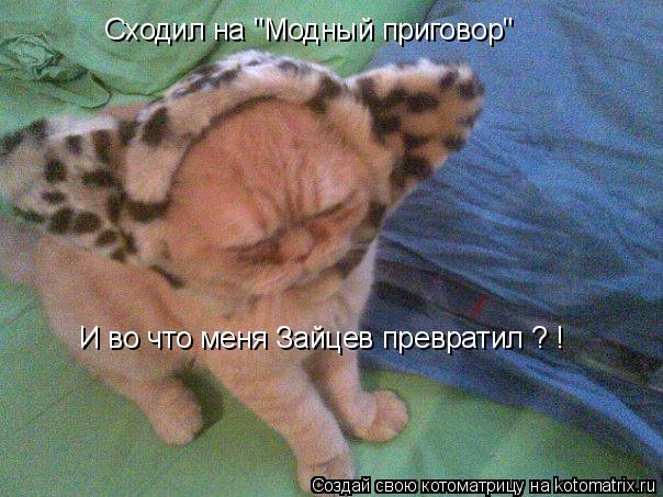 Сходил на "Модный приговор" И во что меня Зайцев превратил ? !... Котоматрица: Сходил на "Модный приговор" И во что меня Зайцев превратил ? !