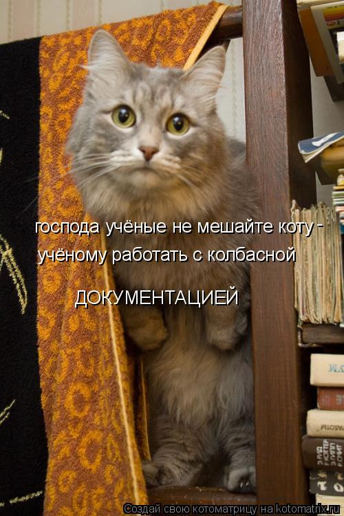 господа учёные не мешайте коту - учёному работать с колбасной ДОКУМЕНТАЦИЕЙ... Котоматрица: господа учёные не мешайте коту - учёному работать с колбасной ДОКУМЕНТАЦИЕЙ