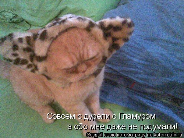 Совсем с дурели с Гламуром а обо мне даже не подумали!... Котоматрица: Совсем с дурели с Гламуром а обо мне даже не подумали!