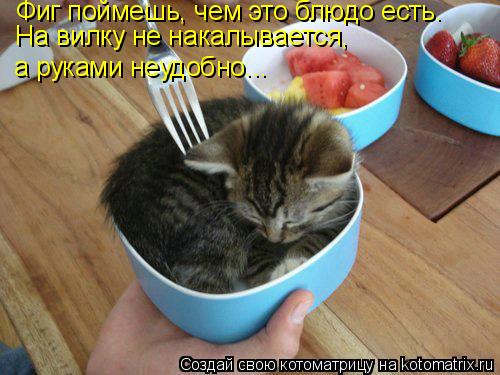 Фиг поймешь, чем это блюдо есть. На вилку не накалывается, а руками неудобно...... Котоматрица: Фиг поймешь, чем это блюдо есть. На вилку не накалывается, а руками неудобно...