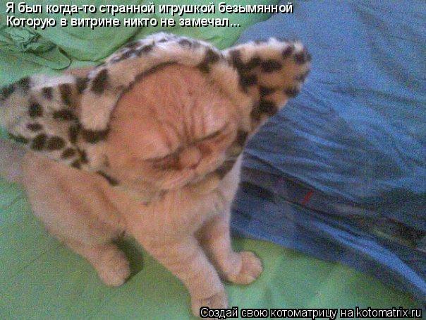 Я был когда-то странной игрушкой безымянной Которую в витрине никто не замечал...... Котоматрица: Я был когда-то странной игрушкой безымянной Которую в витрине никто не замечал...