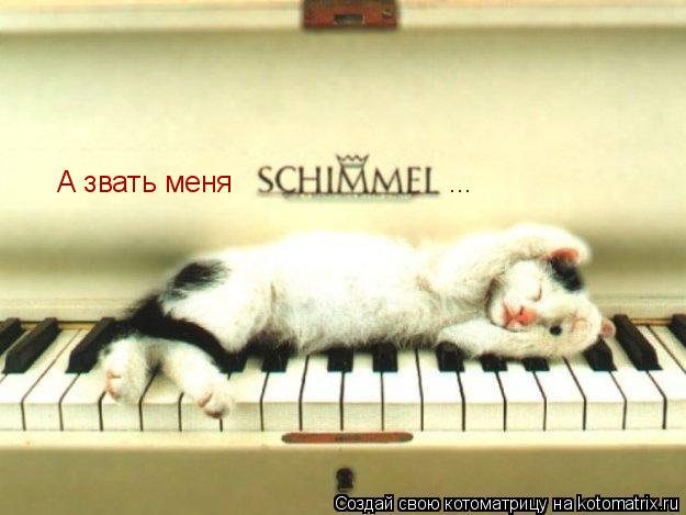 А звать меня ... ...... Котоматрица: А звать меня ... ...