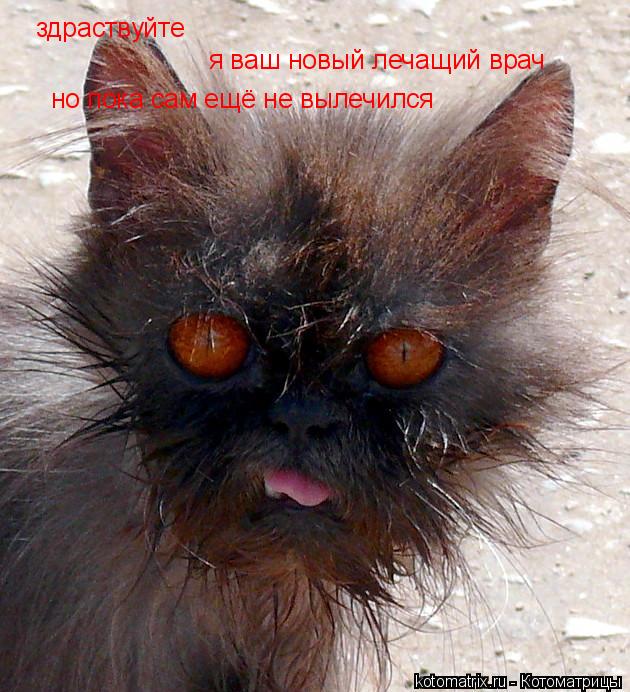 здраствуйте я ваш новый лечащий врач но пока сам ещё не вылечился... Котоматрица: здраствуйте я ваш новый лечащий врач но пока сам ещё не вылечился
