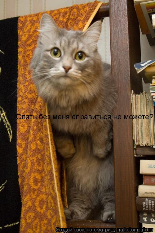 Опять без меня справиться не можете?... Котоматрица: Опять без меня справиться не можете?