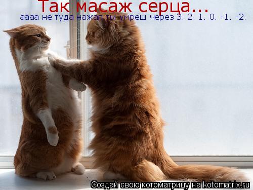 Так масаж серца... аааа не туда нажал ты умреш через 3. 2. 1. 0. -1. -2.... Котоматрица: Так масаж серца... аааа не туда нажал ты умреш через 3. 2. 1. 0. -1. -2.
