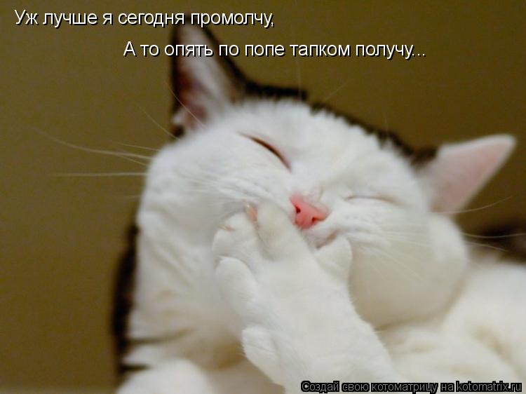 Уж лучше я сегодня промолчу, А то опять по попе тапком получу...... Котоматрица: Уж лучше я сегодня промолчу, А то опять по попе тапком получу...