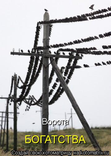 Ворота БОГАТСТВА... Котоматрица: Ворота БОГАТСТВА