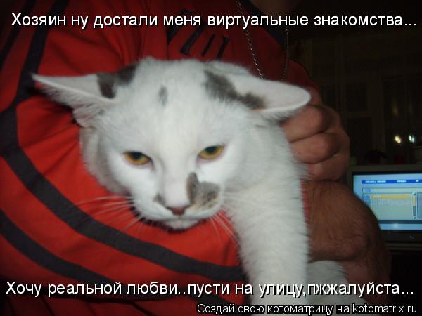 Хозяин ну достали меня виртуальные знакомства... Хозяин ну достали меня виртуальные знакомства... Хоч... Котоматрица: Хозяин ну достали меня виртуальные знакомства... Хозяин ну достали меня виртуальные знакомства... Хочу реальной любви..пусти на улицу,пжжалу
