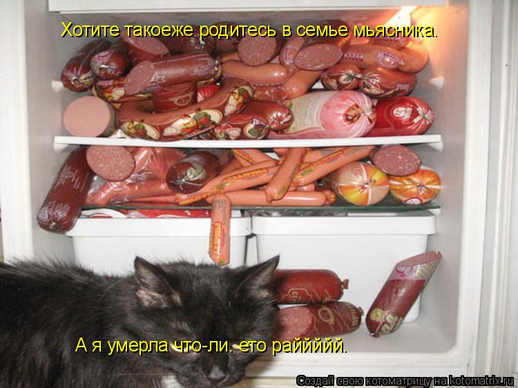 А я умерла что-ли. ето раййййй. Хотите такоеже родитесь в семье мьясника.... Котоматрица: А я умерла что-ли. ето раййййй. Хотите такоеже родитесь в семье мьясника.