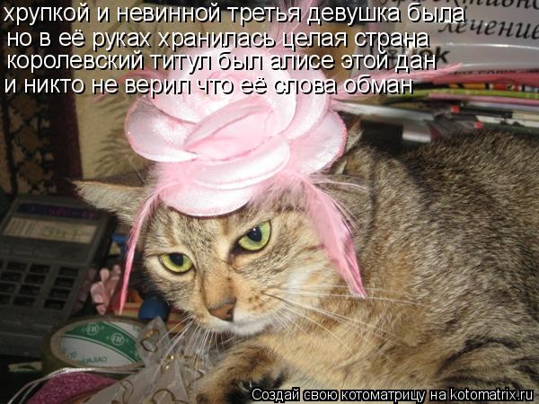 хрупкой и невинной третья девушка была но в её руках хранилась целая страна королевский титул был ал... Котоматрица: хрупкой и невинной третья девушка была но в её руках хранилась целая страна королевский титул был алисе этой дан и никто не верил что её сл