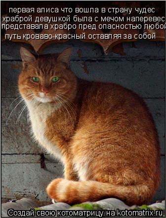 первая алиса что вошла в страну чудес храброй девушкой была с мечом наперевес представала храбро пред... Котоматрица: первая алиса что вошла в страну чудес храброй девушкой была с мечом наперевес представала храбро пред опасностью любой путь кроваво-красн