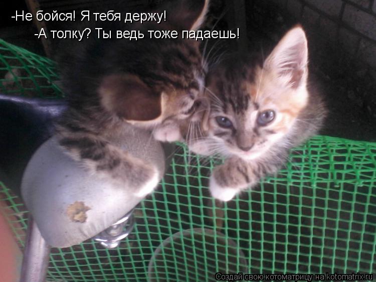 -Не бойся! Я тебя держу! -А толку? Ты ведь тоже падаешь!... Котоматрица: -Не бойся! Я тебя держу! -А толку? Ты ведь тоже падаешь!