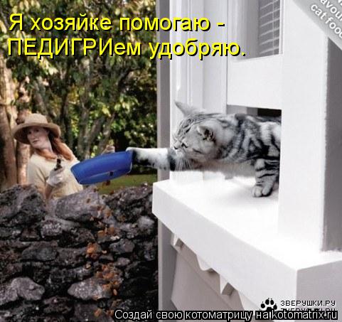 Я хозяйке помогаю - ПЕДИГРИем удобряю.... Котоматрица: Я хозяйке помогаю - ПЕДИГРИем удобряю.