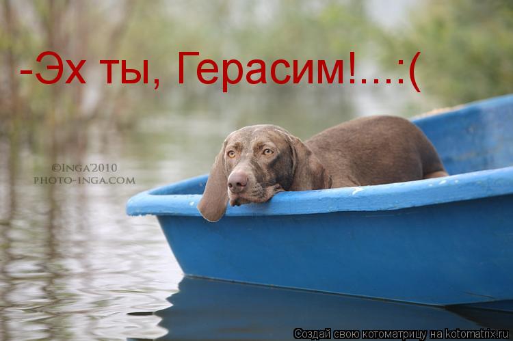 -Эх ты, Герасим!...:(... Котоматрица: -Эх ты, Герасим!...:(