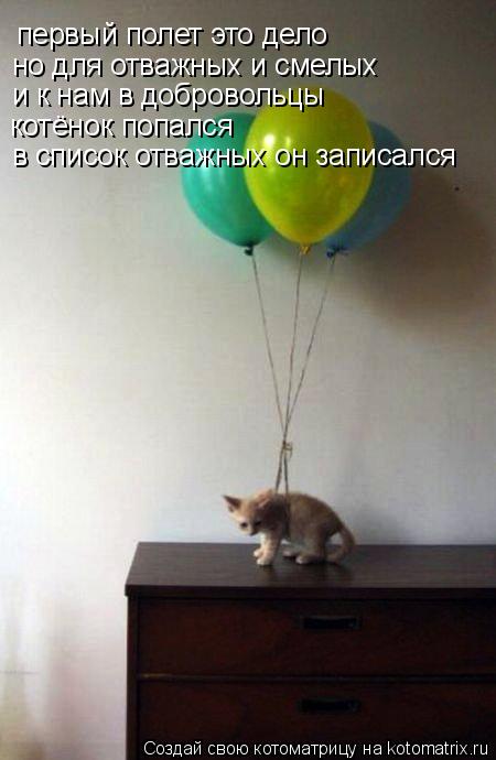 первый полет это дело но для отважных и смелых и к нам в добровольцы котёнок попался в список отважн... Котоматрица: первый полет это дело но для отважных и смелых и к нам в добровольцы котёнок попался в список отважных он записался