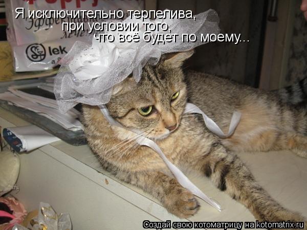 Я исключительно терпелива, при условии того, что всё будет по моему...... Котоматрица: Я исключительно терпелива, при условии того, что всё будет по моему...