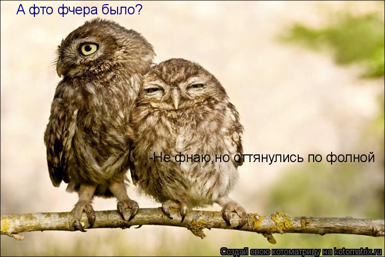 А фто фчера было? -Не фнаю,но оттянулись по фолной... Котоматрица: А фто фчера было? -Не фнаю,но оттянулись по фолной