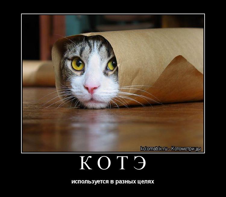 КОТЭ используется в разных целях... Котоматрица: КОТЭ используется в разных целях