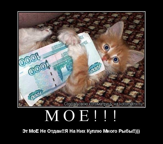 МоЕ!!! Эт МоЕ Не Отдам!!Я На Них Куплю Много Рыбы!!)))... Котоматрица: МоЕ!!! Эт МоЕ Не Отдам!!Я На Них Куплю Много Рыбы!!)))