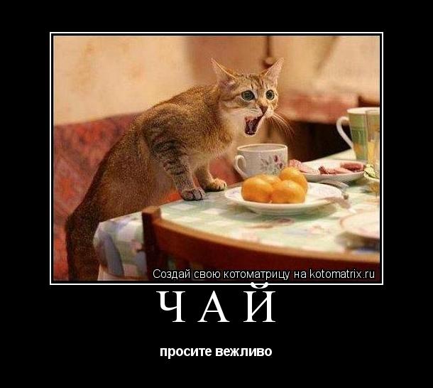 Чай просите вежливо... Котоматрица: Чай просите вежливо