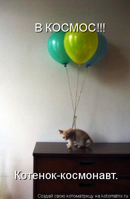В КОСМОС!!! Котенок-космонавт.... Котоматрица: В КОСМОС!!! Котенок-космонавт.