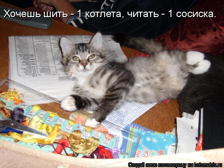 Хочешь шить - 1 котлета, читать - 1 сосиска.... Котоматрица: Хочешь шить - 1 котлета, читать - 1 сосиска.