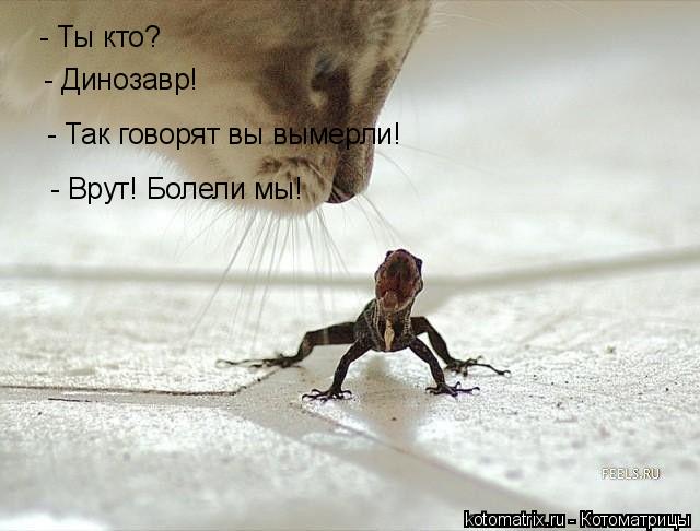 - Ты кто? - Динозавр! - Так говорят вы вымерли! - Врут! Болели мы!... Котоматрица: - Ты кто? - Динозавр! - Так говорят вы вымерли! - Врут! Болели мы!