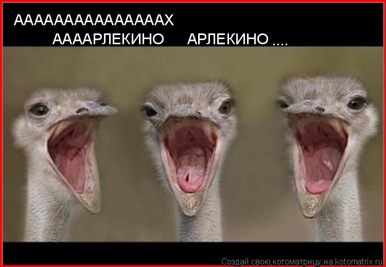 АААААААААААААААХ ААААРЛЕКИНО АРЛЕКИНО ....... Котоматрица: АААААААААААААААХ ААААРЛЕКИНО АРЛЕКИНО ....