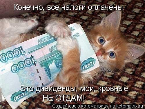 Конечно, все налоги оплачены. Это дивиденды, мои, кровные. НЕ ОТДАМ!... Котоматрица: Конечно, все налоги оплачены. Это дивиденды, мои, кровные. НЕ ОТДАМ!