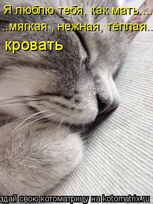 Я люблю тебя, как мать.... ..мягкая , нежная, тёплая.. кровать... Котоматрица: Я люблю тебя, как мать.... ..мягкая , нежная, тёплая.. кровать