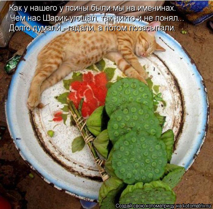 Как у нашего у псины были мы на именинах. Чем нас Шарик угощал, так никто и не понял... Долго думали ... Котоматрица: Как у нашего у псины были мы на именинах. Чем нас Шарик угощал, так никто и не понял... Долго думали - гадали, а потом позасыпали.