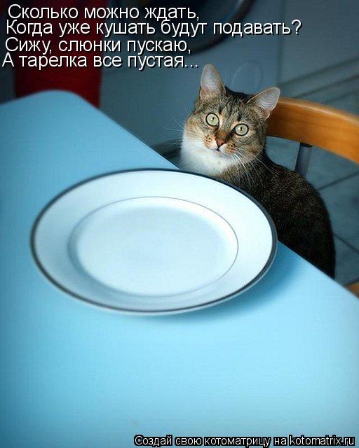 Сколько можно ждать, Сижу, слюнки пускаю, А тарелка все пустая... Когда уже кушать будут подавать?... Котоматрица: Сколько можно ждать, Сижу, слюнки пускаю, А тарелка все пустая... Когда уже кушать будут подавать?