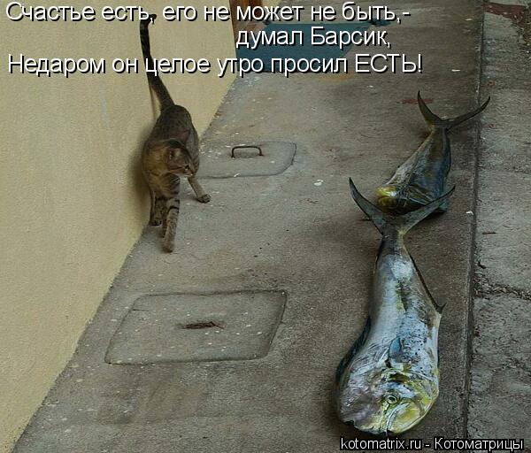 Счастье есть, его не может не быть,- думал Барсик, Недаром он целое утро просил ЕСТЬ!... Котоматрица: Счастье есть, его не может не быть,- думал Барсик, Недаром он целое утро просил ЕСТЬ!
